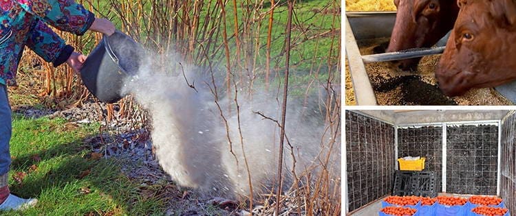 This Is Why You Should Have Charcoal Around The Property
