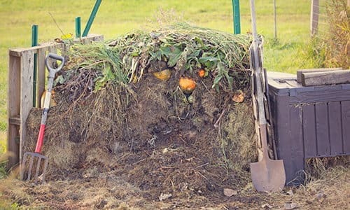 10 compost mistakes