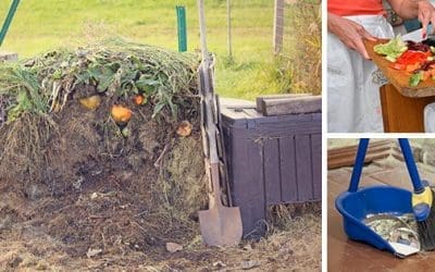 10 Common Composting Mistakes. Are You Making One Of Them?