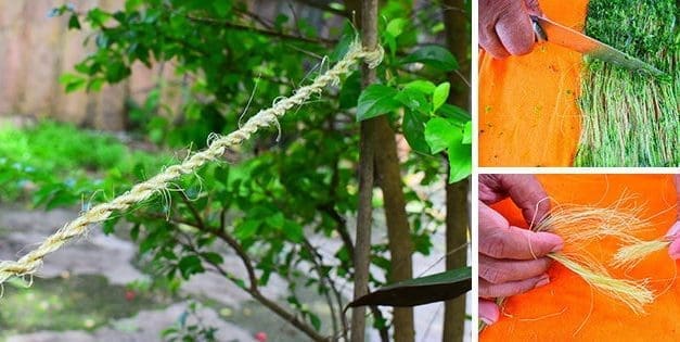 DIY Rope From Most Common Plants