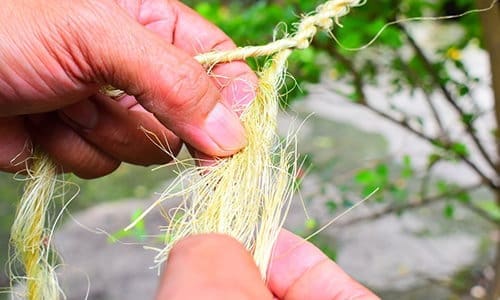 DIY Rope From Most Common Plants