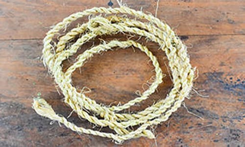 DIY Rope From Most Common Plants