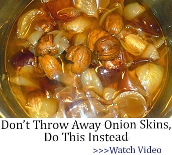 Don't Throw Away Onion Skins, Do This Instead
