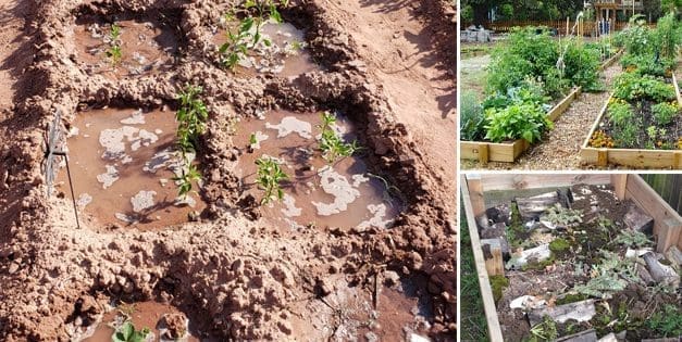 22 Ways to Boost Food Production in 2022