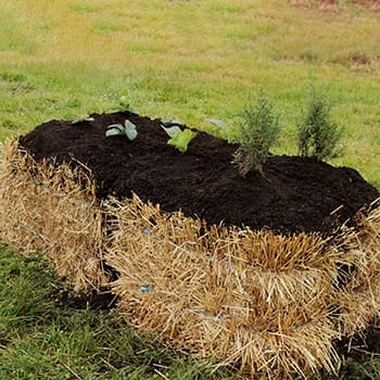 straw bale garden