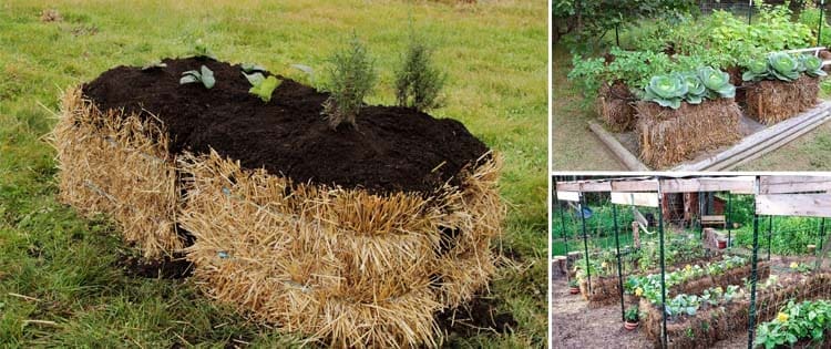 Straw Bale Gardening 101