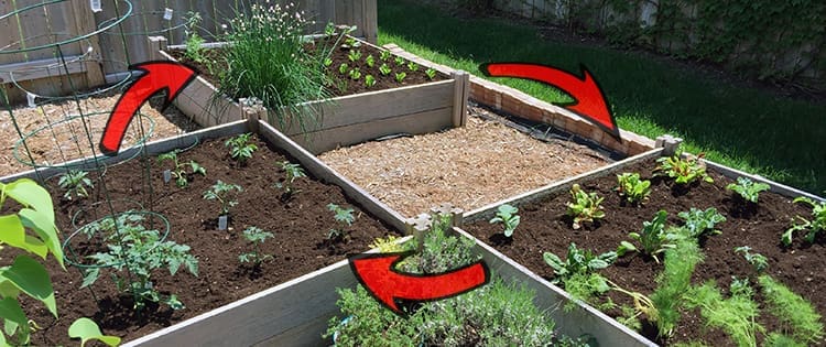 Everything You Need To Know About Crop Rotation (And Why You Should Do It)