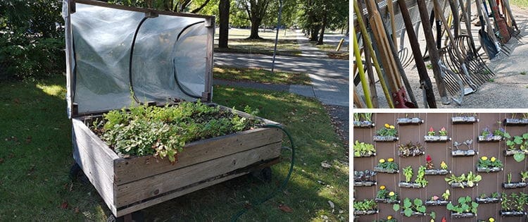 Survival Garden: Ingenious Ways To Grow Yours Almost For Free