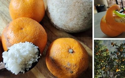 Stop Throwing Away Your Orange Peels, Do This Instead