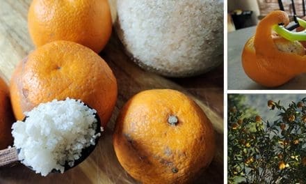 Stop Throwing Away Your Orange Peels, Do This Instead