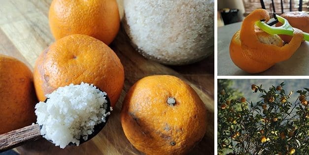 Stop Throwing Away Your Orange Peels, Do This Instead