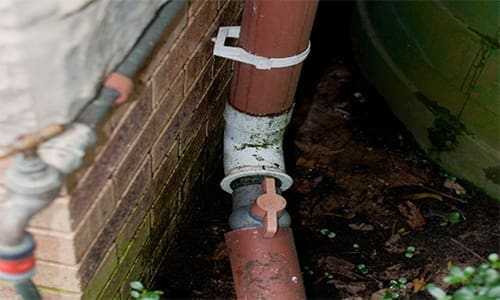 rainwater tank irrigates garden