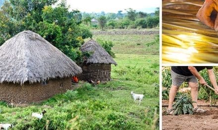 5 DIY Projects From The Bible That You Should Know About