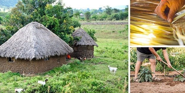 5 DIY Projects From The Bible That You Should Know About