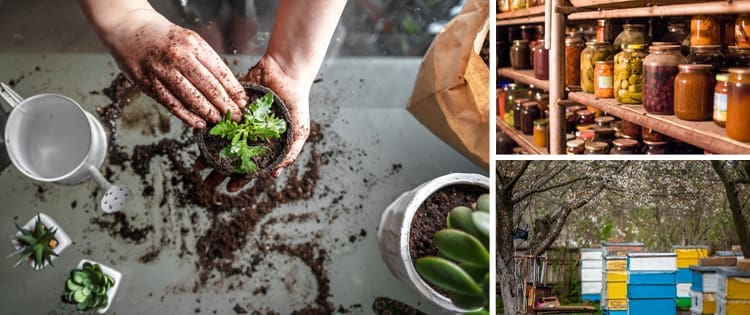 Homesteading To Do’s: April