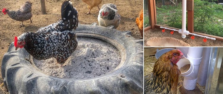 Ingenious Ideas For Taking Care Of Your Chickens