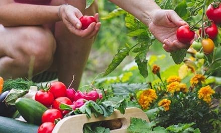 Gardening Mistakes That Might Get You Killed