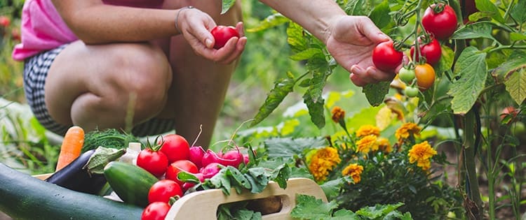 Gardening Mistakes That Might Get You Killed