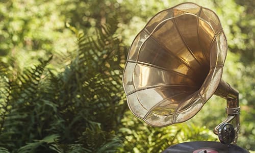 What Music You Should Play To Your Plants To Maximize Harvest