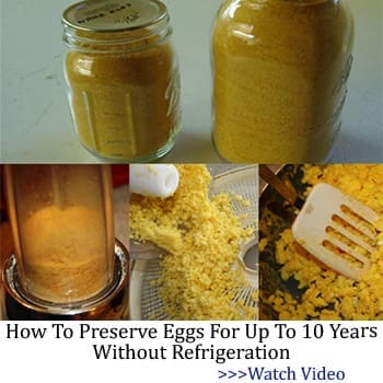 How to preserve eggs for up to 10 years without refrigeration