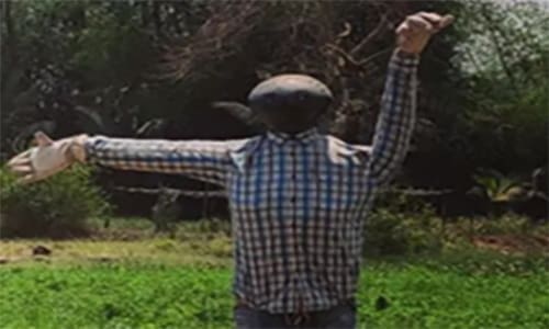 build the cheapest scarecrow