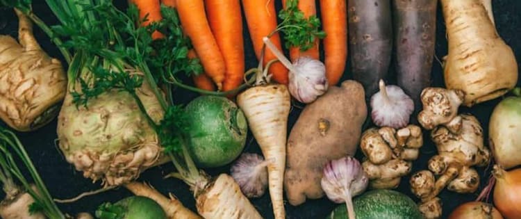 Homesteading To Do’s: August