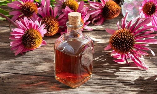 amish medicinal garden