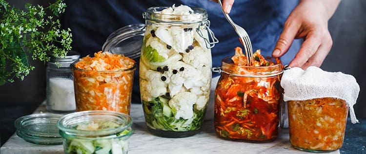 Homesteading To Do’s: September