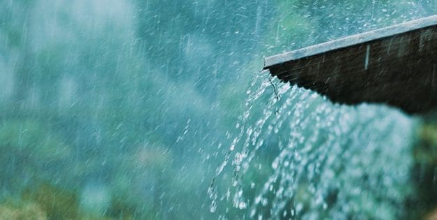 Ingenious Rain Catchment System For Your Homestead