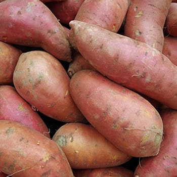 sweet potatoes