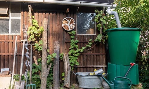 cheap backyard projects