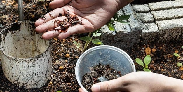 DIY Worm Compost Tower