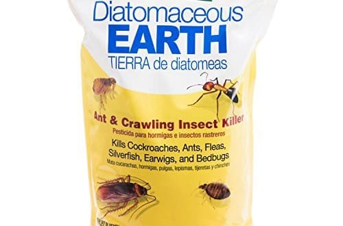 This Is Why You Should Have Diatomaceous Earth Around Your Property