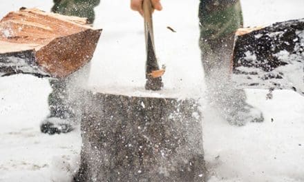 What Keeps Me Busy In My Homestead During Winter