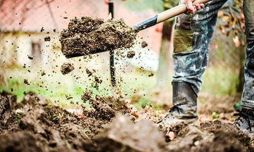 6 Things You Need To Know Before Buying A Homestead Plot