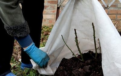 How To Prepare Your Spring Garden Starting This Winter