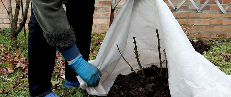 How To Prepare Your Spring Garden Starting This Winter