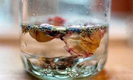 Make These 8 Household Items Instead Of Buying Them