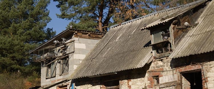 The Untold Truth About Renovating An Old Farm