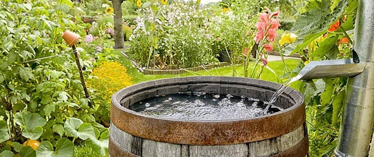 100-Year-Old Way To Filter Rainwater In A Barrel