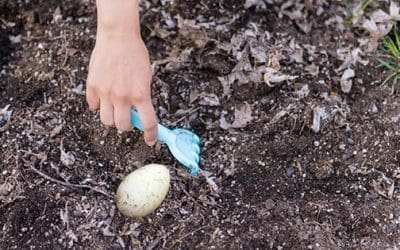 What Happens If You Plant An Egg In Your Garden