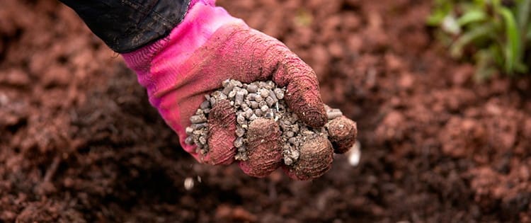 What Happens If You Bury These In Your Garden