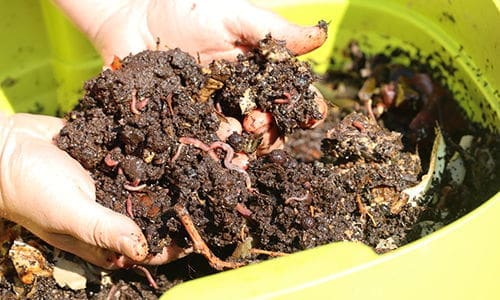 things to bury in your garden