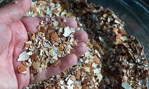 things to bury in your garden