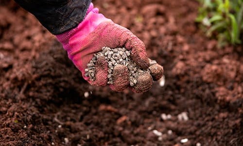 things to bury in your garden