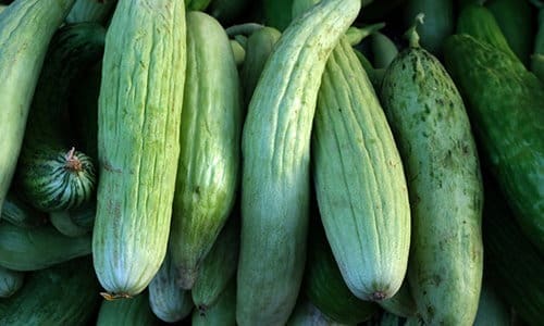 10 giant edible crops you can grow