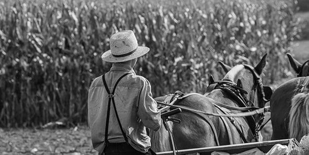 Amish Lessons That Prepare You For Living Off The Grid