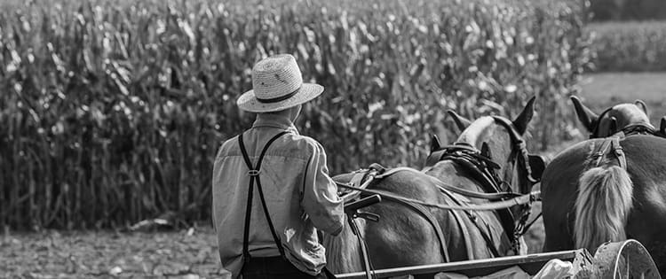 Amish Lessons That Prepare You For Living Off The Grid