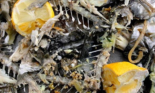 avoid composting these items