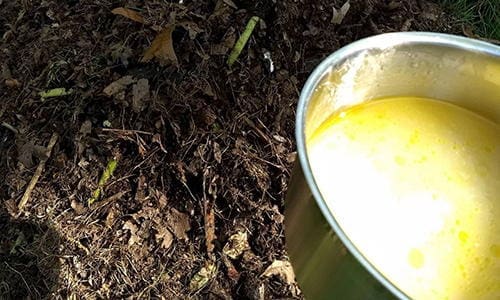 avoid composting these items